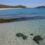 Great Keppel Island - Middle Island - Bal-la-ba