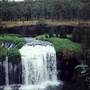 Millstream Falls (FNQ)