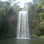Millaa Millaa Falls