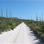 Mulgumpin (Moreton Island)