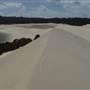Mulgumpin (Moreton Island) - The Desert