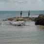 Mulgumpin (Moreton Island)