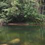 Mossman Gorge