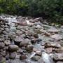 Mossman Gorge