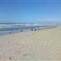 Oceanside Park - Narrowneck Beach