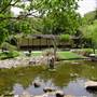 Japanese Garden, Mt Coot-tha Botanical Gardens