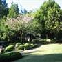 Japanese Garden, Mt Coot-tha Botanical Gardens