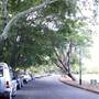 New Farm Park