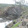 Noosa Cliffs