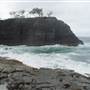 Noosa Cliffs