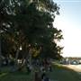 Noosa River