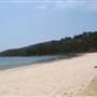 Noosa Beach