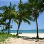 North Palm Cove to Ellis Beach