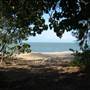 North Palm Cove to Ellis Beach