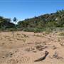 Radical Bay (Magnetic Island)