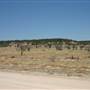 Rangelands Station