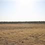 Rangelands Station