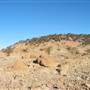 Rangelands Station