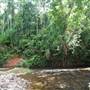Mission Beach (Cairns Region FNQ)