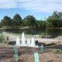 Gold Coast Regional Botanic Gardens - Rosser Park