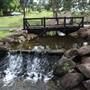 Gold Coast Regional Botanic Gardens - Rosser Park