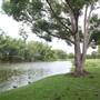 Gold Coast Regional Botanic Gardens - Rosser Park