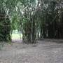 Gold Coast Regional Botanic Gardens - Rosser Park