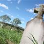 Rosevale - Picturesque Countryside