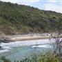 Noosa - Tea Tree Beach Area