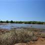 Tully River