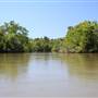 Tully River