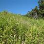 Whitsunday Great Walk