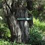 Coochiemudlo Island