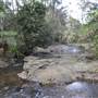 Purling Brook Falls - Springbrook National Park