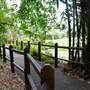 Kholo Botanic Gardens