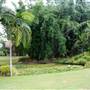 Kholo Botanic Gardens