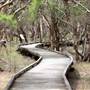 Purga Nature Reserve