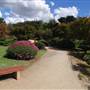 Japanese Garden - University of Southern Queensland