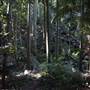 Tamborine National Park