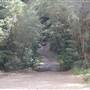 O'Reillys Rainforest Retreat