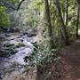 Moran Falls