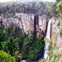 Purling Brook Falls - Springbrook National Park