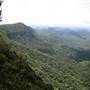 Purling Brook Falls - Springbrook National Park