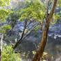 Wappa Falls