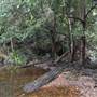 Rocky Creek Falls