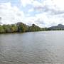 Maroochy River / Old Rail Bridge