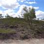 Leichhardt River Rd - Off-Road
