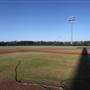 Major League Baseball Infields & Batting Cages