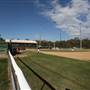 Redlands Rays Baseball