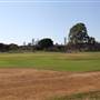 Surfers Paradise Baseball Club
